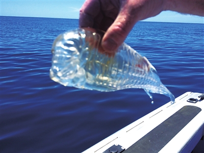 近镜头|捕捞|渔民_凤凰资讯