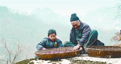 《念书的孩子》今起上映