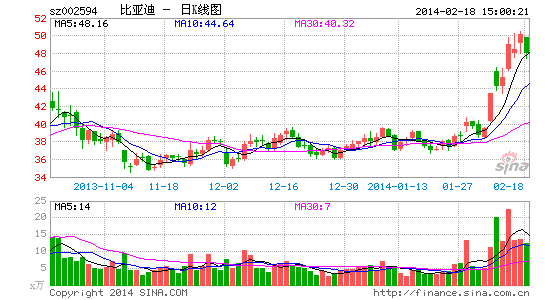 王传福:特斯拉只是富人玩具 新能源今年迎拐点