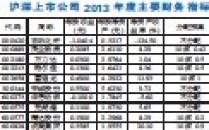 沪深上市公司2013年度主要财务指标|分配|股份