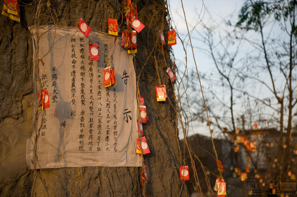 元末明初人口_元末明初,由于连年战争,全国人口锐减,特别是中原一带,情况尤甚(2)