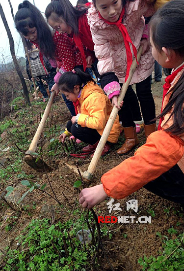 长沙开福区企业业主和学生参加汉回村民族广场