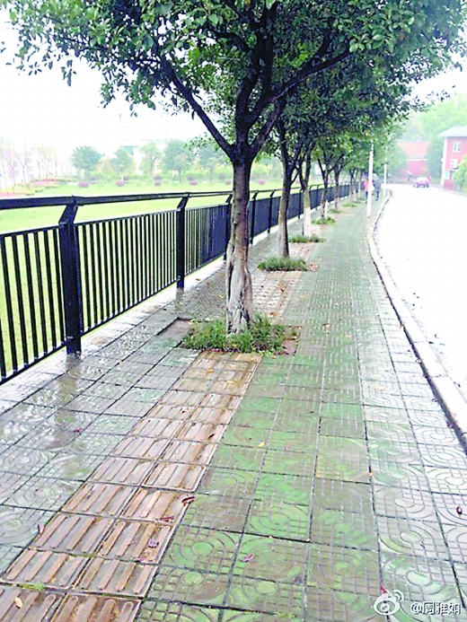 微视界|重庆|驾校_凤凰资讯