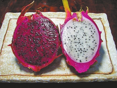 火龙果种子盆栽|种子|种植