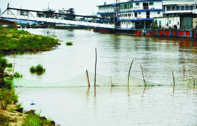 禁渔期 又见捕鱼迷魂阵|捕鱼|渔政