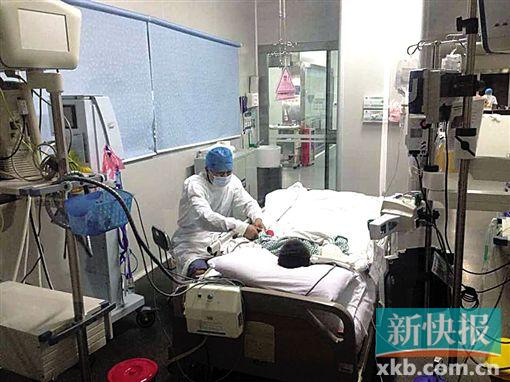 ■受伤的小鑫虽然暂时脱离生命危险,但却面临下肢瘫痪的可能。通讯员供图