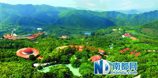 3国家5A级旅游区——— 雁南飞茶田景区。杨焱辉 摄