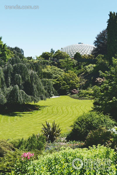 浪漫蜜月行 一起去温哥华看花吧|公园|草坪