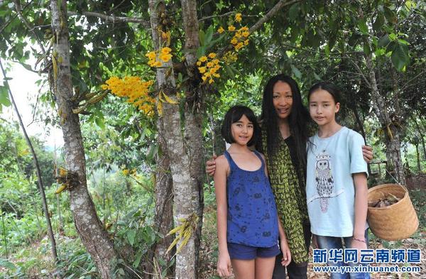 林妲和宛妲:愿成<em>精灵</em><em>守护</em>美丽<em>雨林</em>_凤凰资讯