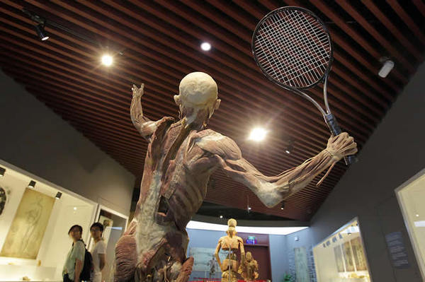 揭秘温州人体科学馆