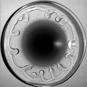 布洛特红酒汇知识讲堂|葡萄酒|酒庄