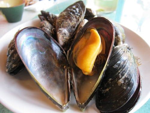 马祖怀旧老店:淡菜肥美 红糟饭爽口(图)|淡菜|摄影_凤凰资讯