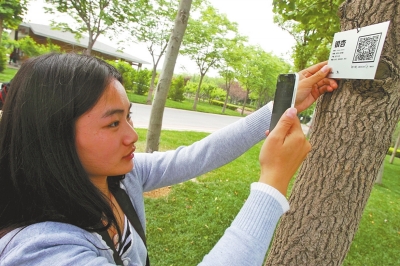 码上扫一扫树先生家世全知晓|郑州市|郑州_凤