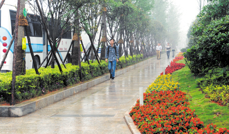 云栖路总长度为4.2公里，出入城口绿化提质后，改造绿地面积达8公顷，计划栽植乔木4000株，打造出绿色、生态的最美长沙“河西走廊”。