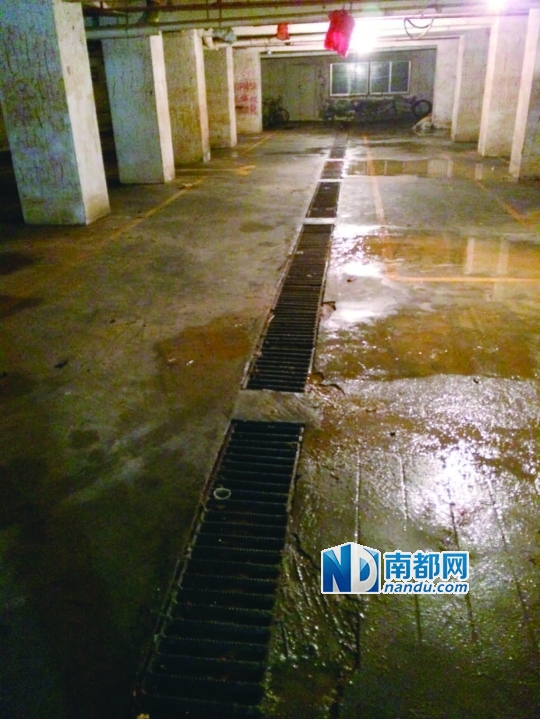 4 .金煌俱乐部地下室集水沟明显比金裕大厦的要深。