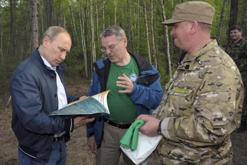 ，俄罗斯总统普京在俄阿穆尔州工作访问期间，放生了两只阿穆尔雄虎。