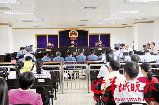 污染环境案庭审现场