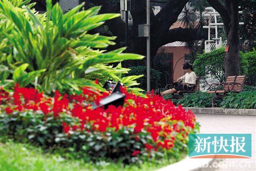 越秀新婚姻登记处下周一办公