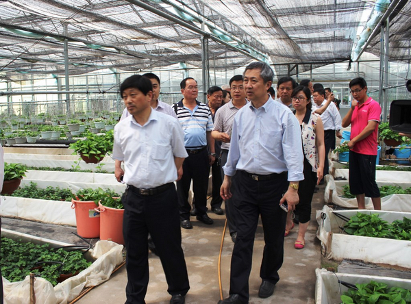 滨台高效生态农业合作洽谈会举行