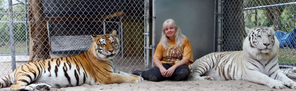 对珍妮丝来说,它们也像她毛茸茸的大孩子