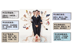 中国平安人才梦工厂:优才计划|优才|技能