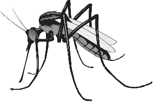 防蚊灭蚊 声光化电齐上阵|蚊香液|电蚊拍