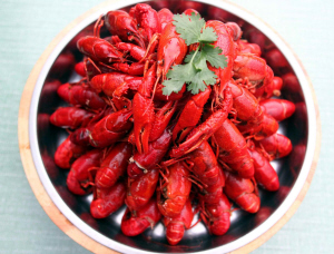 哪里可以学小龙虾 4dec2570-c27f-4a16-9eae-3a91abdc28a5.jpg