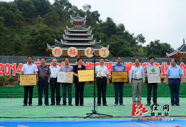 授牌仪式    朱红伟  摄