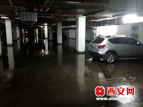 海璟台北湾小区地下车库水管漏水成地下湖|小