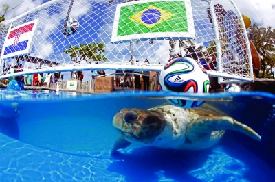 扬子世界杯虚拟朋友圈上线啦|世界杯|球星