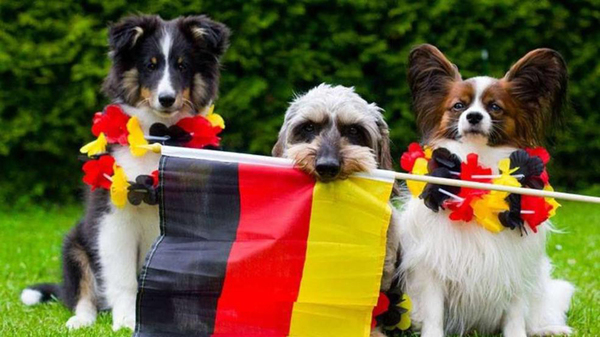 德国队世界杯首战在即 球迷创意加油助威(高清