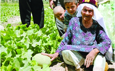 世界最长寿老人开网店卖哈密瓜|哈密瓜|新疆