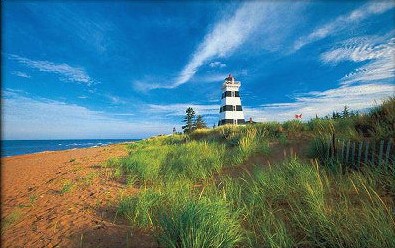 加拿大爱德华王子岛|游客|旅游