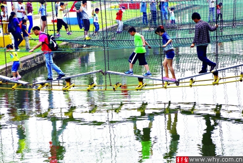 看露天电影夜游昆虫世界 上海夏季夜晚避暑好