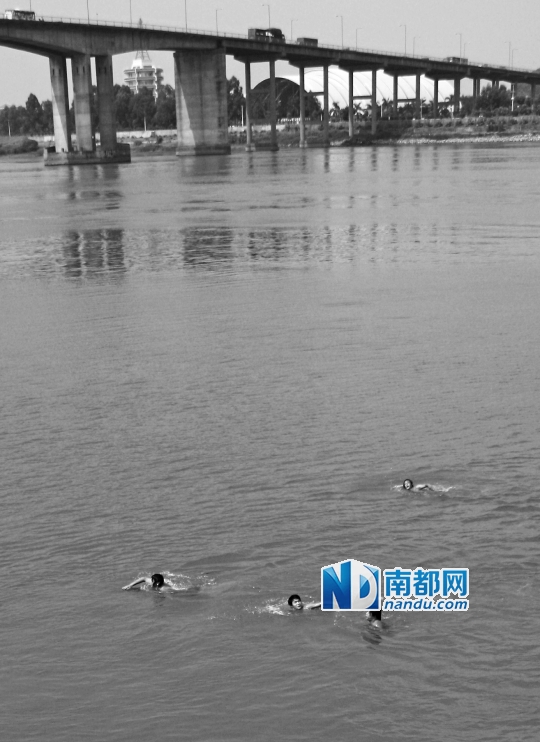 潮连大桥，西江野泳。目前由潮连大桥、荷塘西江大桥去往顺德路程最短。
