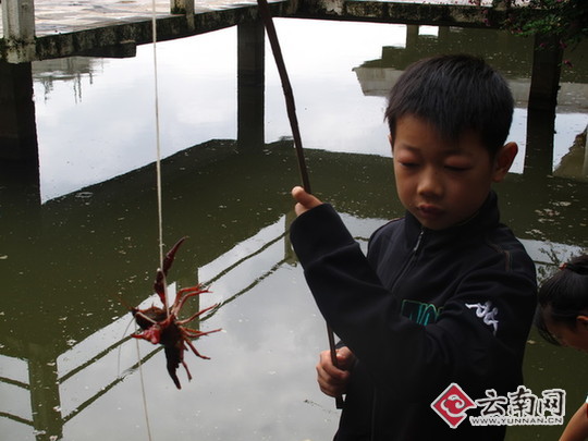 一个小孩用绳子钓起了小龙虾