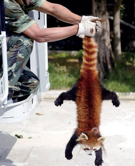 “能不能换个造型?”(设计台词)