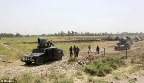 重新占据萨达姆出生地的伊拉克政府军