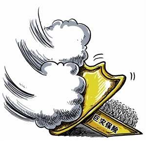 全国首批巨灾保险试点在深正式实施|巨灾|保险_凤凰资讯