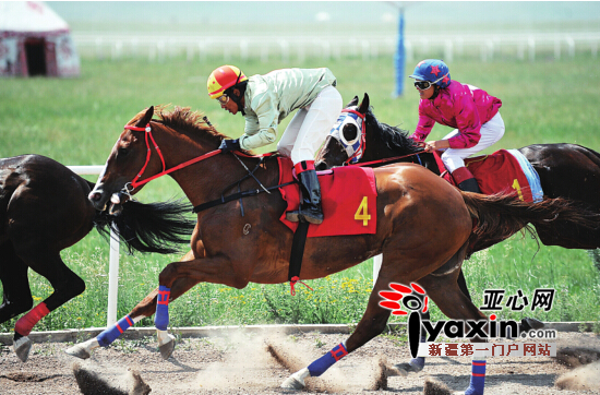①12日13时30分，骑手驰骋在赛场上。亚心网记者 李瑞 摄
