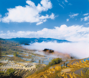 641b8fbd-f25f-4c66-a224-89ee0411b23a.jpg-图片版权归原作者所有