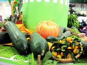 江门拟建农产品溯源平台|农业局|农产品