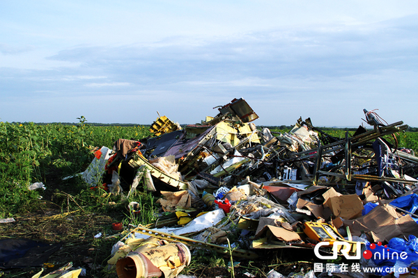 这片残骸应该属于机头，如今已完全无法分辨 摄影：曹胜济