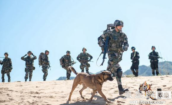 神犬奇兵收官观众期待第二季神犬小七