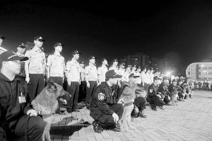 　　警犬参与东莞打击制假售假行动。资料图片