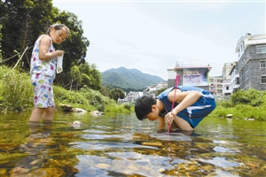 在这里, 孩子们个个都是 抓鱼高手