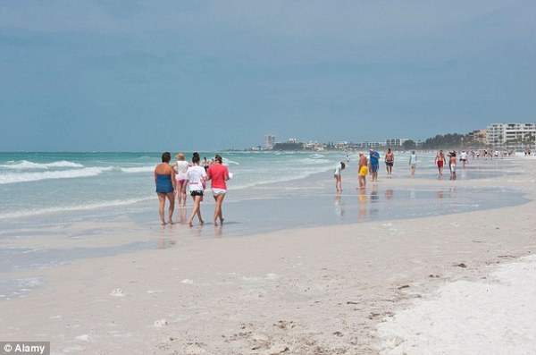 图片:佛罗里达海滨