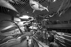 位于一楼的“生命长河”景区已布展完毕。