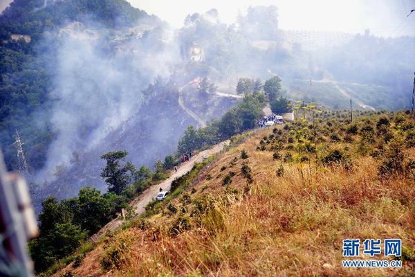 8月19日，在意大利中部马尔凯大区阿斯科利皮切诺市市郊，飞机相撞后引发山林起火。