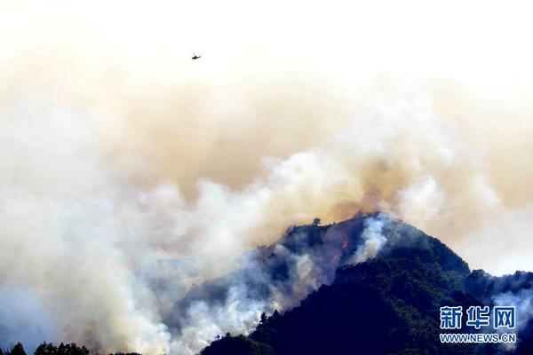 8月19日，在意大利中部马尔凯大区阿斯科利皮切诺市市郊，飞机相撞后引发山林起火。